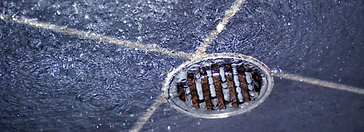 How to Get Hair Out of Your Drains