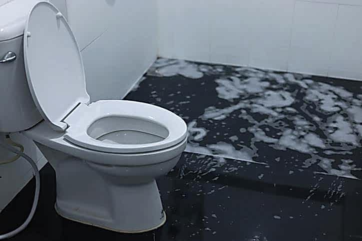 What to Do When Your Toilet Overflows