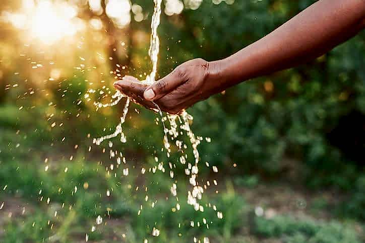 Quiz: See How Much You Know About Water Conservation!