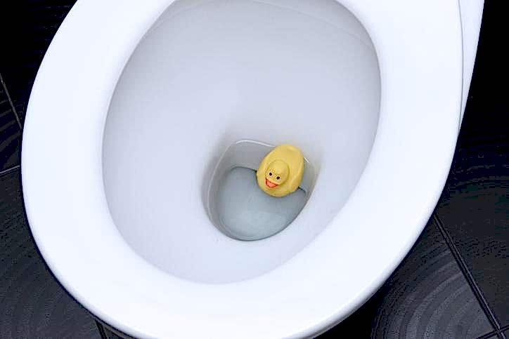 Help! What Do I Do If I Have a Toilet Clogged with Toys?