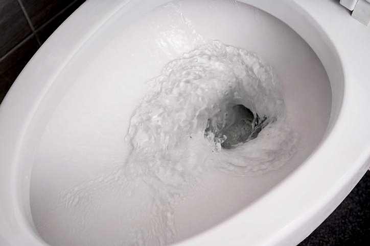 What to Look For in a New Toilet | Plumber Recommendations