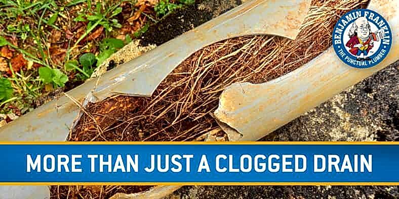 More Than Just a Clogged Drain